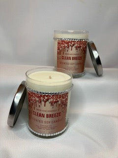 Clean Breeze: Large 13.5 oz Scented Soy Candle