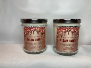 Clean Breeze: Large 13.5 oz Scented Soy Candle